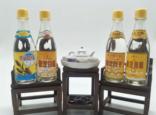 為何半斤白酒尚清醒，兩瓶啤酒卻已醉？——酒精飲料與醉酒的秘密